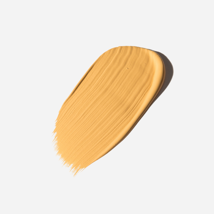 Foundation 01