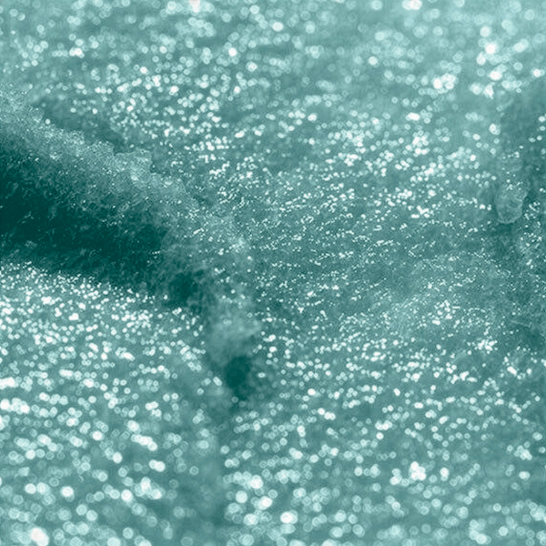 Scrub Labbra Biscotto